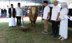 Momen Berbagi Idul Adha 1445 H, Bank Mandiri Salurkan Daging Kurban ke Masyarakat