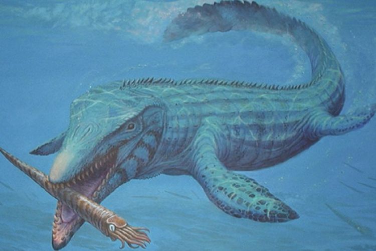 Ilustrasi mosasaurus