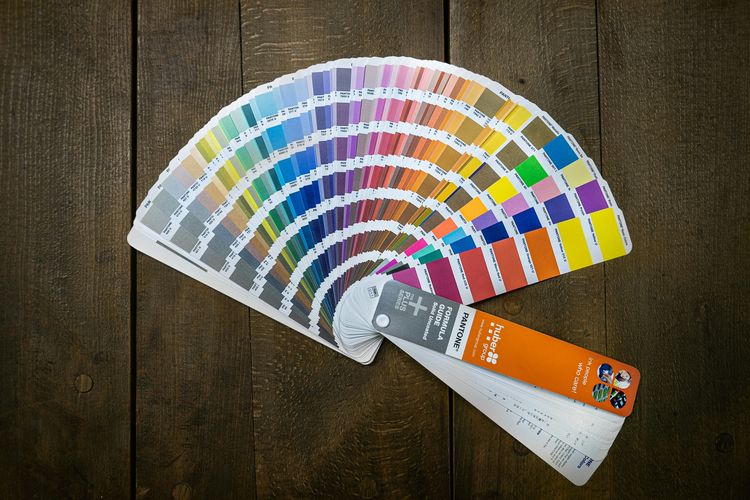 Mengenal Warna Primer dan Warna Sekunder, Apa Bedanya?