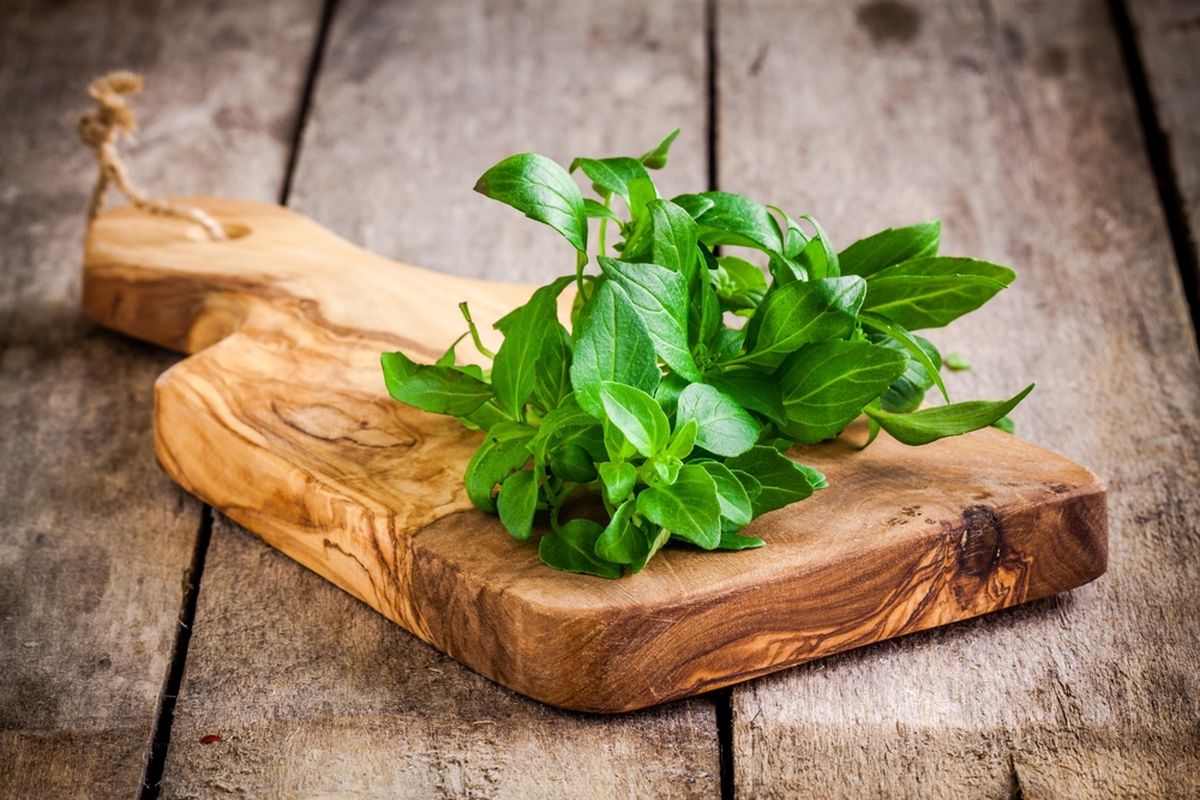 Penyakit yang bisa diredakan dengan makan daun kemangi.