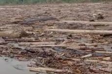 Banjir Landa Rokan Hulu, Aliran Sungai Batang Lubuh Dipenuhi Kayu