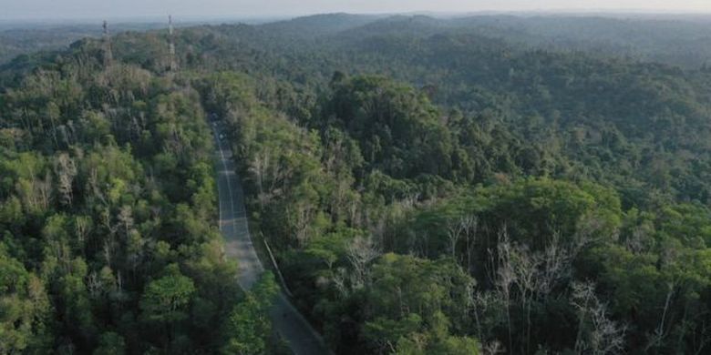 Taman Hutan Raya Bukit Soeharto di Kutai Kertanegara merupakan salah satu hutan di wilayah ibu kota baru. 