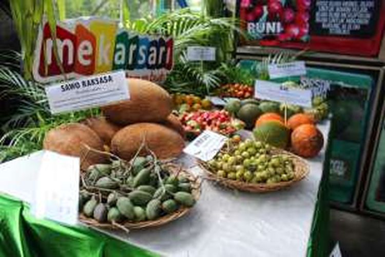 Buah-buahan unik yang ditampilkan dalam acara Durian Fiesta 2016 di Plaza Semanggi, Sabtu (23/4/2016).