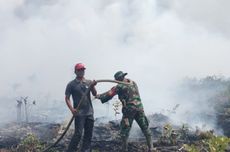 Hutan Taman Nasional Giam Siak Kecil di Riau Terbakar Parah