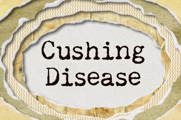 Ilustrasi Cushing Syndrome