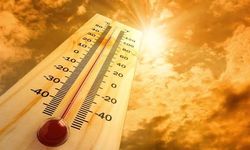 12 Bulan Terakhir, Suhu Bumi Naik 1,5 Derajat Celsius