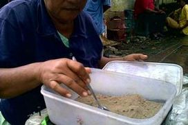 Komentar Berita Undur Undur Sembuhkan Gangren Halaman All