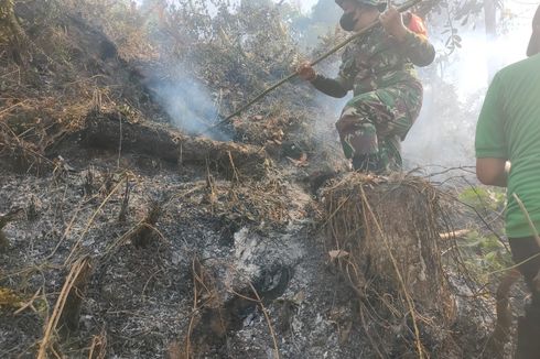 Satu Hektare Lahan di Gunung Terong Banyuwangi Terbakar