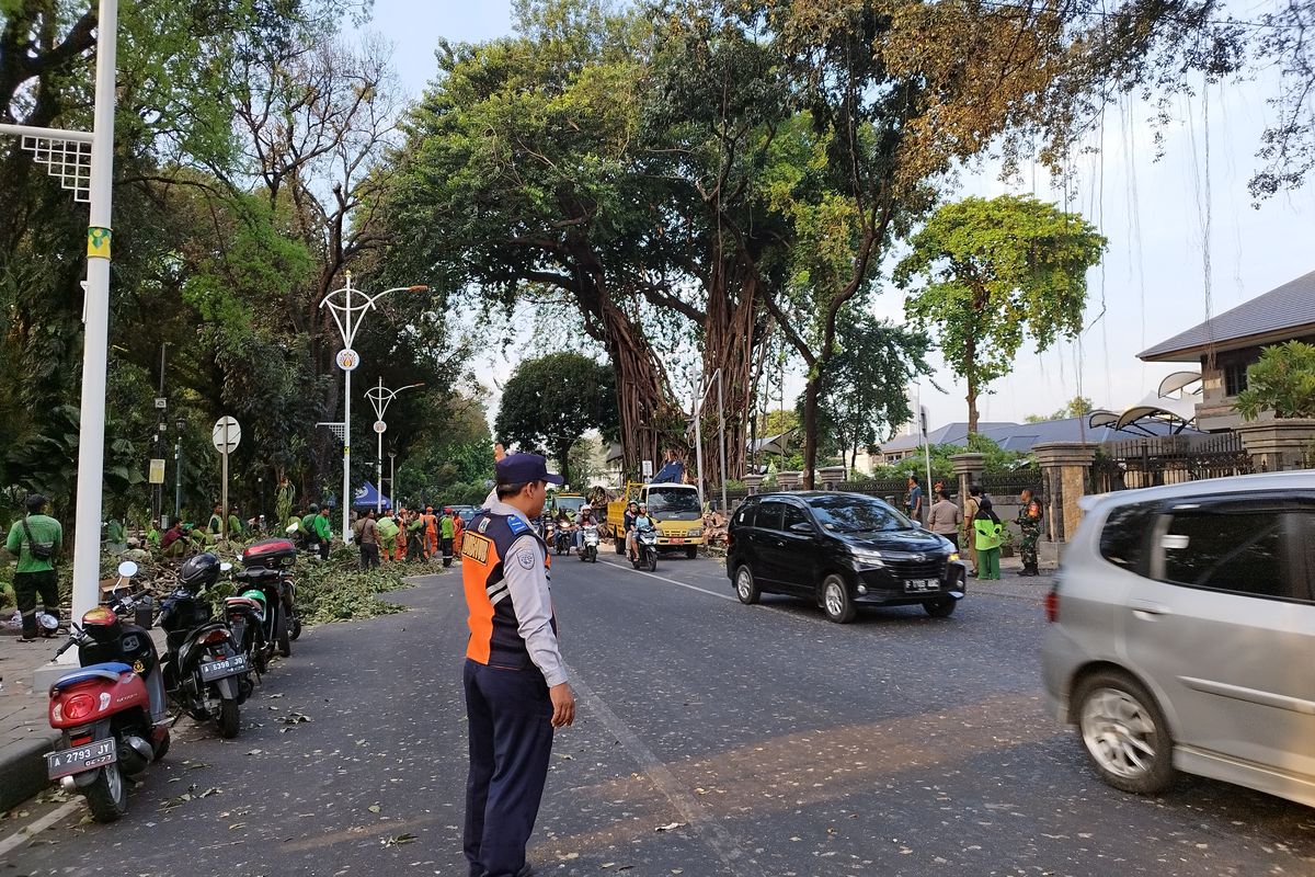 Arus lalu lintas Jalan Taman Suropati arah Jalan Diponegoro, Menteng, Jakarta Pusat, ramai lancar meski masih ada proses evakuasi pohon tumbang, Selasa (17/10/2023). (KOMPAS.com/XENA OLIVIA)