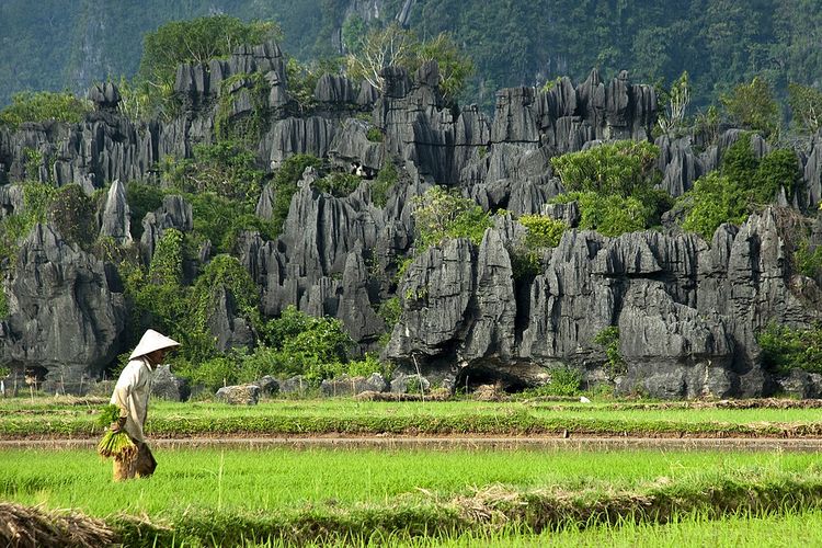 Kampung Rammang-rammang di kawasan karst Maros-Pangkep,  Sulawesi Selatan
