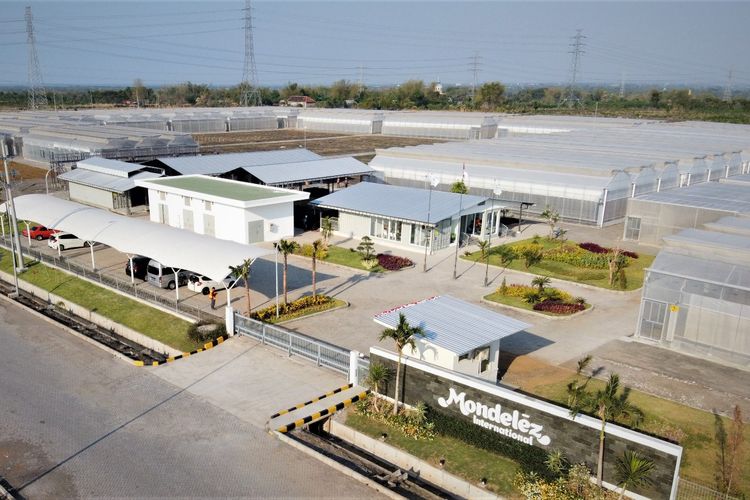 Pasuruan Cocoa Technical Centre (PCTC) dilengkapi fasilitas penelitian berteknologi canggih yang ditunjang laboratorium, area pasca-panen, fasilitas percobaan agronomi, serta area pembibitan seluas lima hektar.