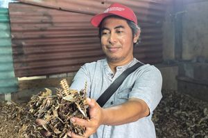 Kepala Ikan Tongkol Disulap Jadi Cuan di Cilincing, Omzet Rp 120 Juta Per Bulan 