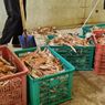 Harga Daging Rajungan Masih Anjlok, Nelayan di Brebes Masih Enggan Melaut