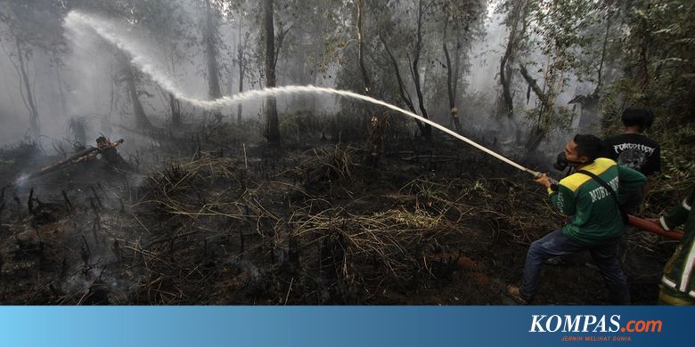 BNPB: Luas Lahan Terbakar Capai Sekitar 857.000 Hektar