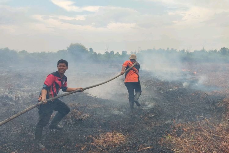 Kebakaran Hutan Mengancam Kotawaringin Timur, Wilayah Lahan Gambut Paling Rentan Terbakar