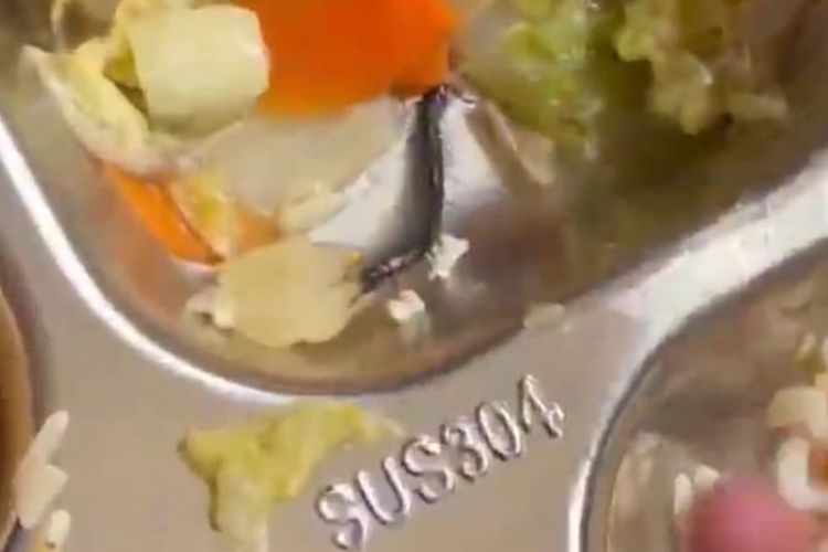 Kelabang yang ada di salah satu porsi MBG SMAN di Surabaya, Jumat (14/11/2025).