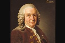 Sistem Klasifikasi 2 Kingdom Carolus Linnaeus