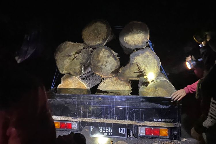 Foto: Gelondongan pohon jati ketika digerebek oleh petugas Taman Nasional Baluran dan kepolisian.