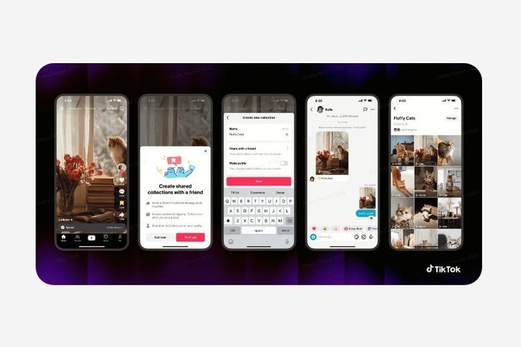Tampilan fitur Shared collection di TikTok