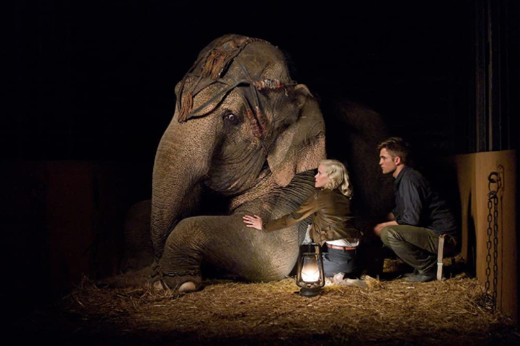 Salah satu adegan dalam film Water for Elephants.