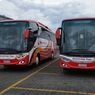 PO Gumarang Jaya Rilis 2 Unit Bus Anyar Rakitan Adiputro