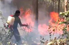 Kebakaran Hutan Jati di Ngawi Capai 3 Hektare, Diduga Sengaja Dilakukan Orang Iseng