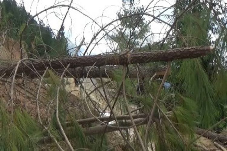 Sedikitnya lima titik longsor memutuskan akses Jalan Poros Mamasa, Sulbar dengan Toraja Sulawesi Selatan, Kamis malam.