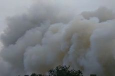 Cuaca Panas dan Angin Kencang Jadi Penyebab Kebakaran Lahan di Riau Meluas 