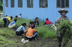 Mapalus, Tradisi Gotong Royong Suku Minahasa 