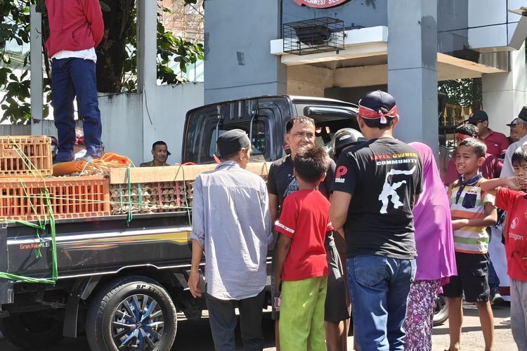 Tak Sanggup Beli Pakan, Peternak Sulsel Bagikan Ayam dan Telur Gratis di Jalan