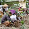Komitmen Reduksi Karbon, Amartha Tanam Pohon dengan Metode Miyawaki