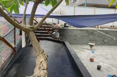 Renovasi Kolam Ikan di Gedung DPRD DKI Telan Anggaran Rp 190 Juta