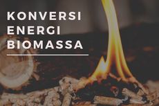 Mengenal Teknologi Konversi Biomassa