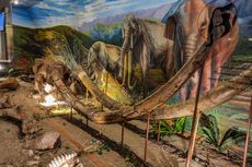 Museum Sangiran, Melihat Jejak Peninggalan Peradaban Purba