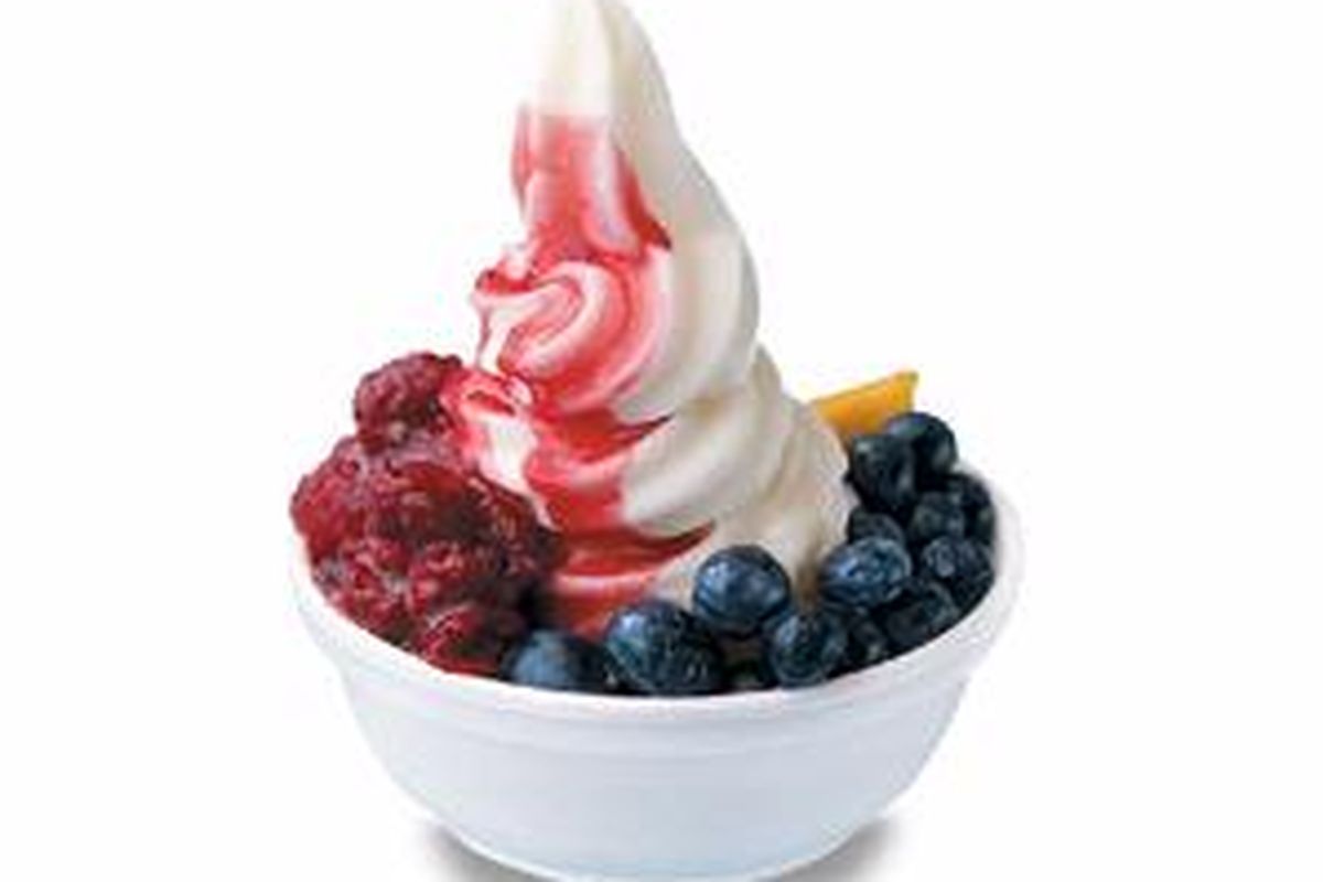 Karena peralatan yang digunakan tergolong sederhana, berbisnis froyo bisa menjadi bisnis yang menguntungkan, mudah, dan nyaris tak beresiko.