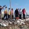 Banjir Rob Pantura, Pemerintah Inventarisasi Tanggul dan Pasang Geobag