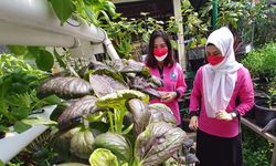 Ikut Bangun Kota hingga Percepat Vaksinasi DKI Jakarta, Siapa Kader Dasawisma?