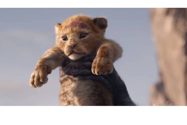 Walt Disney Studios merilis film live action The Lion King pada 19 Juli 2019.