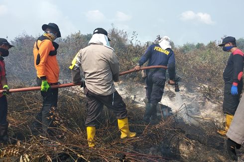BNPB Dapat Laporan Banyak Pejabat Daerah Tak Peduli Kebakaran Hutan dan Lahan