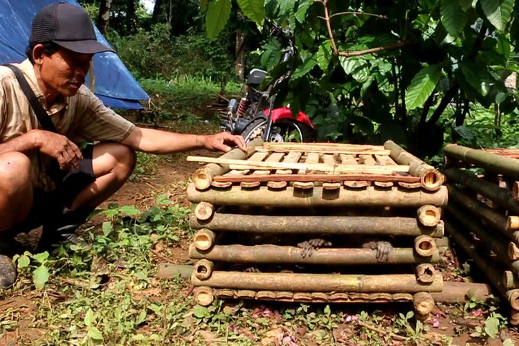 Koboi (50) salah satu warga tim Suku Baduy Banten menunjukan kandang sementara yang berisi monyet ekor panjang di Desa Cibeureum Kecamatan Cilimus Kabupaten Kuningan Jawa Barat, Selasa (21/1/2020).