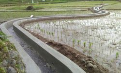 Tingkatkan Produktivitas Tanam, Kementan Maksimalkan Fungsi Saluran Irigasi Melalui RJIT