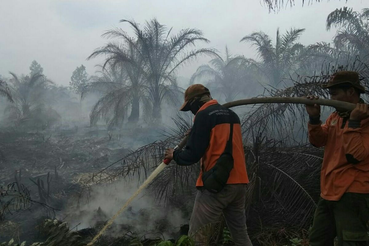 Petugas Manggala Agni Daops Dumai memadamkan api kebakaran hutan dan lahan (Karhutla) tanah gambut di wilayah Kelurahan Teluk Makmur, Kecamatan Medang Kampai, Kota Dumai, Riau,  Selasa (14/5/2019). Dok. Manggala Agni Daops Dumai 