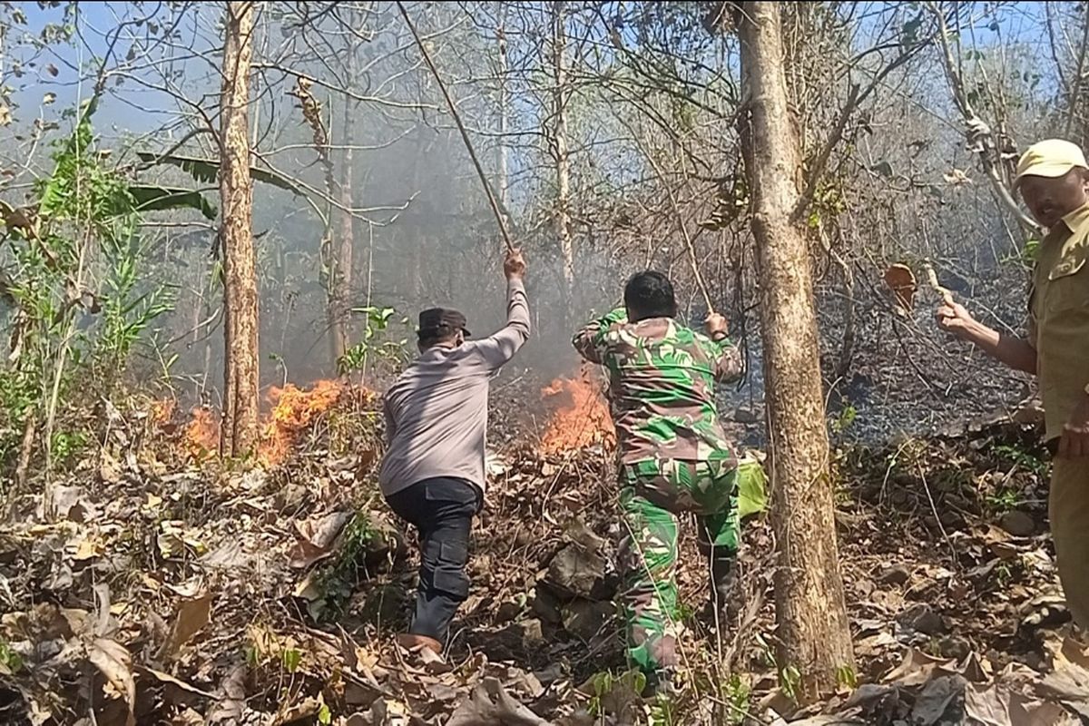 Upaya pemadaman kebakaran di Gunung Lir Liran yang berada di Kecamatan Sine, Kabupaten Magetan. Kekeringan membuat kawasan bukit dimana warga biasa menyebut Gunung Lir Liran membuat kayu dan semak seluas 7 hektar terbakar.