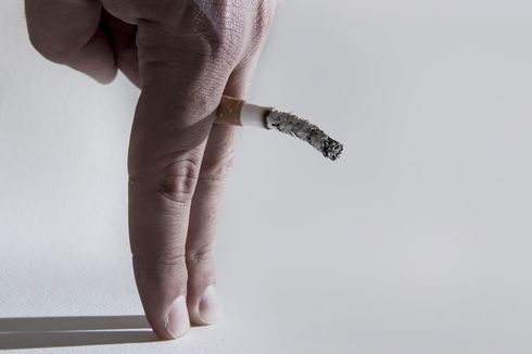 WHO: Tembakau adalah Racun Planet, Rugikan Lingkungan dan Kesehatan