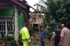 Puting Beliung Landa Kabupten Tanggamus, 3 Pohon Tumbang Timpa Rumah Warga