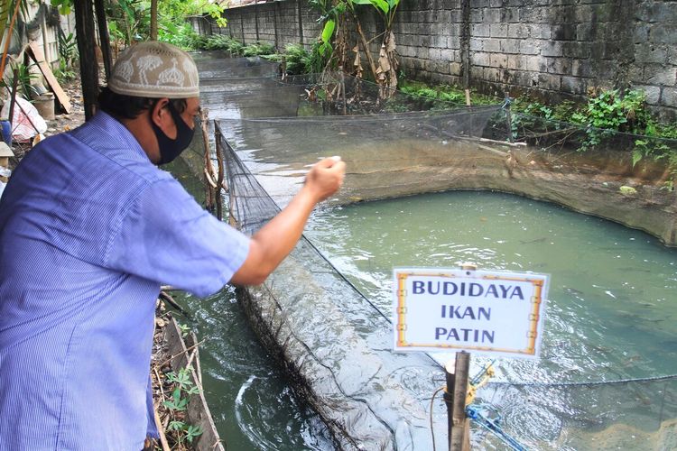 Tambak ikan di kampung tangkal Covid-19 di Jalan Margoyoso, Kecamatan Kalidoni, Palembang, Sumatera Selatan.
