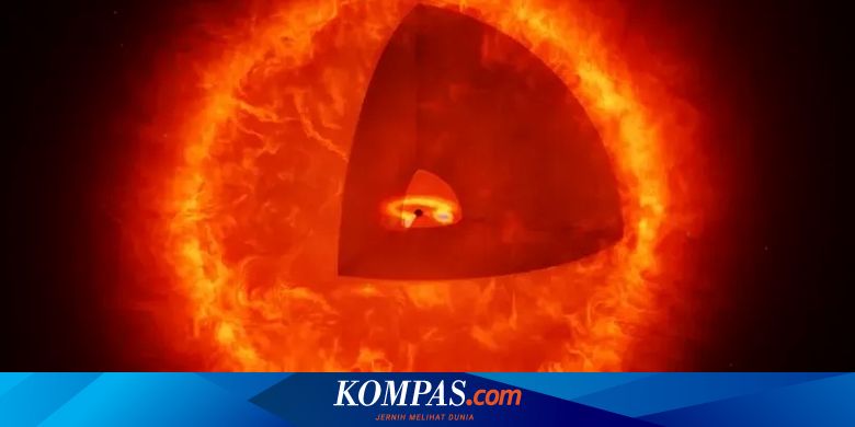 Black Hole Star: Webb Telescope Discovery