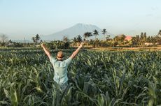 Cara Orang Bahagia Melihat Dunia, Bagaimana denganmu?