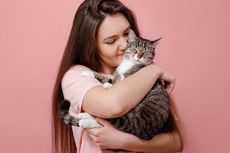 6 Cara Kucing Menunjukkan Kasih Sayangnya pada Kita