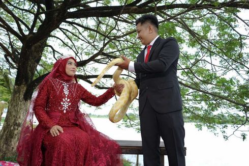 Unik, Calon Pengantin Pakai Ular sebagai Obyek Foto 